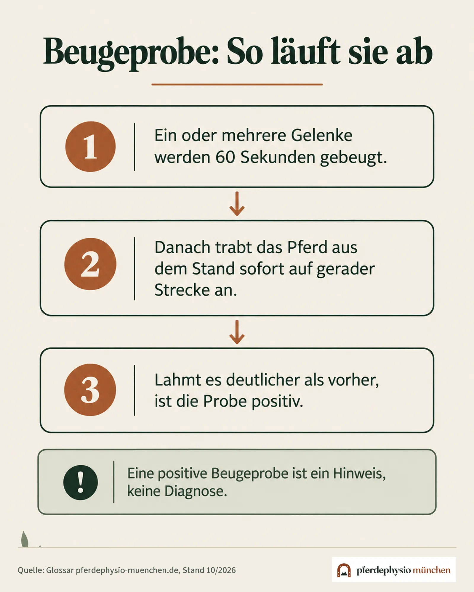 Infografik: Ablauf der Beugeprobe in drei Schritten – Gelenk 60 Sekunden beugen, sofort antraben, Ergebnis bewerten