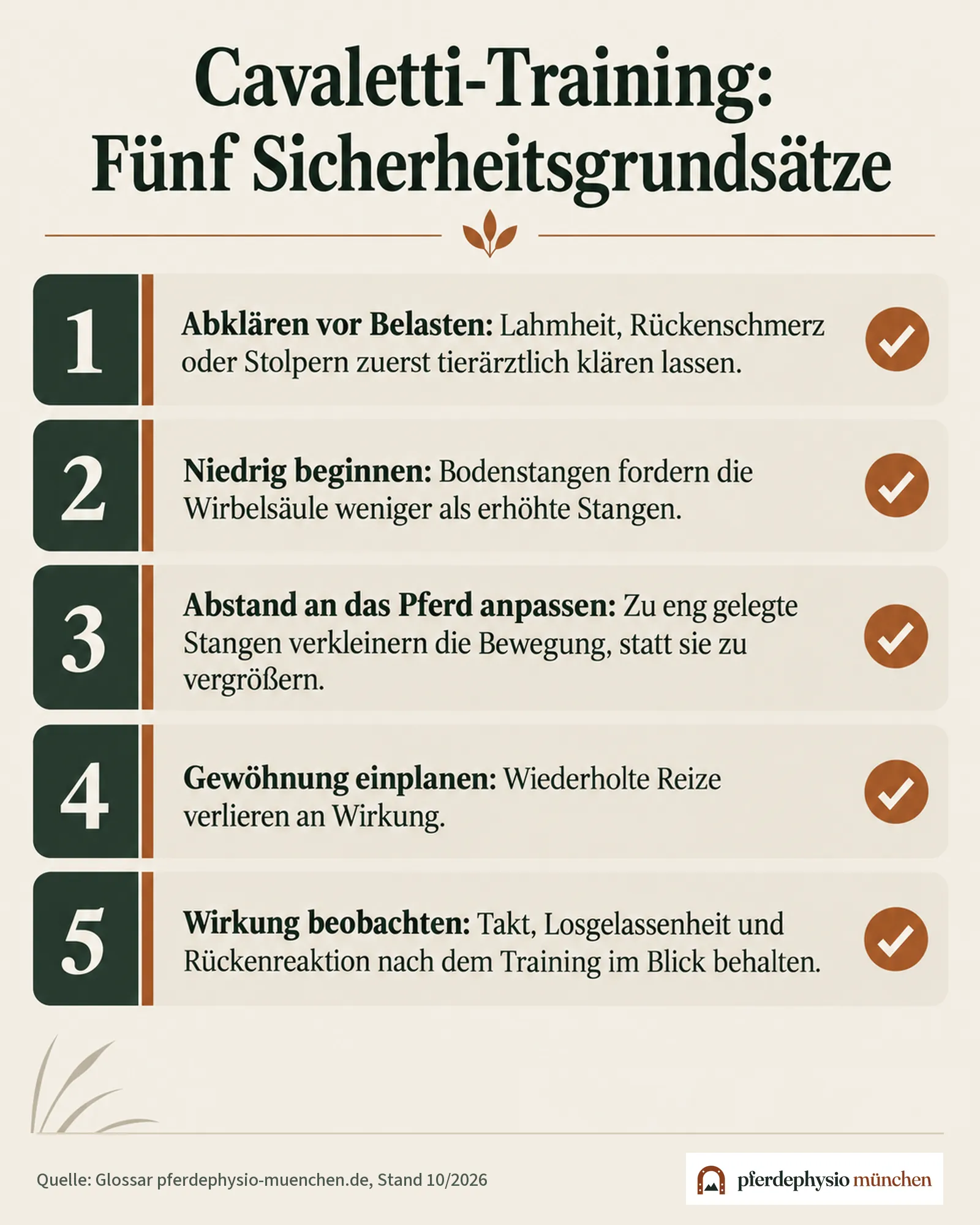 Checkliste: Fünf Sicherheitsgrundsätze beim Cavaletti-Training