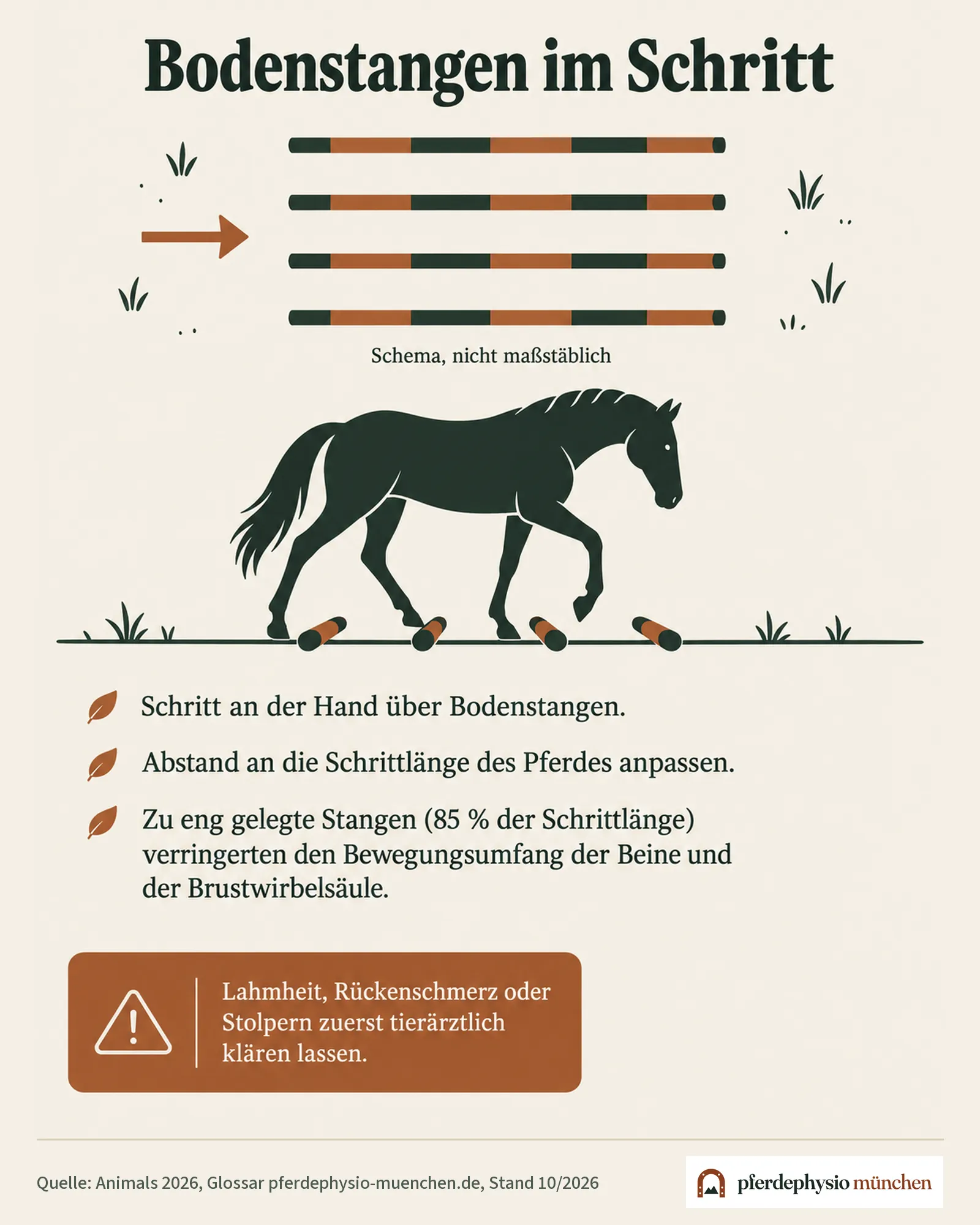 Schema: Bodenstangen im Schritt – Draufsicht auf vier Stangen und Seitenansicht eines schreitenden Pferdes