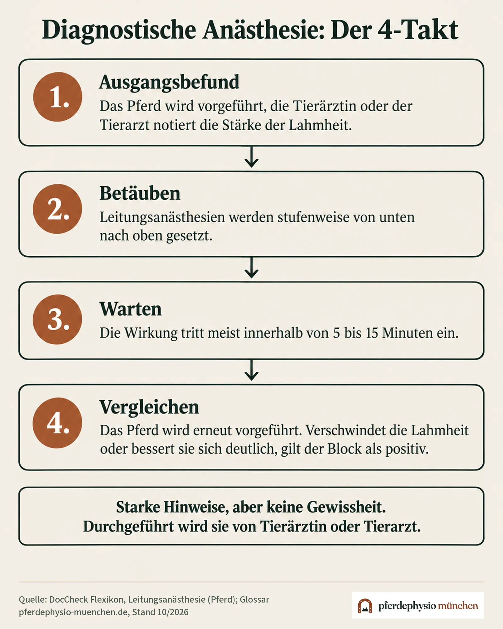 Der 4-Takt der diagnostischen Anästhesie: Ausgangsbefund, Betäuben, Warten, Vergleichen
