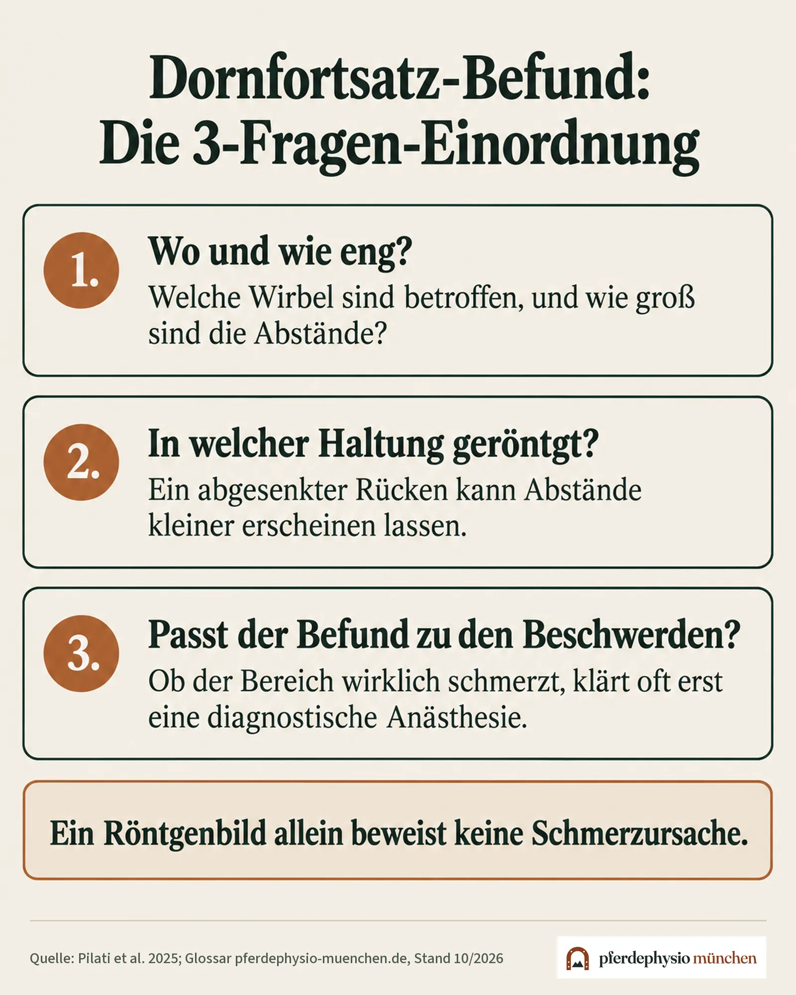 Die 3-Fragen-Einordnung eines Dornfortsatz-Befunds