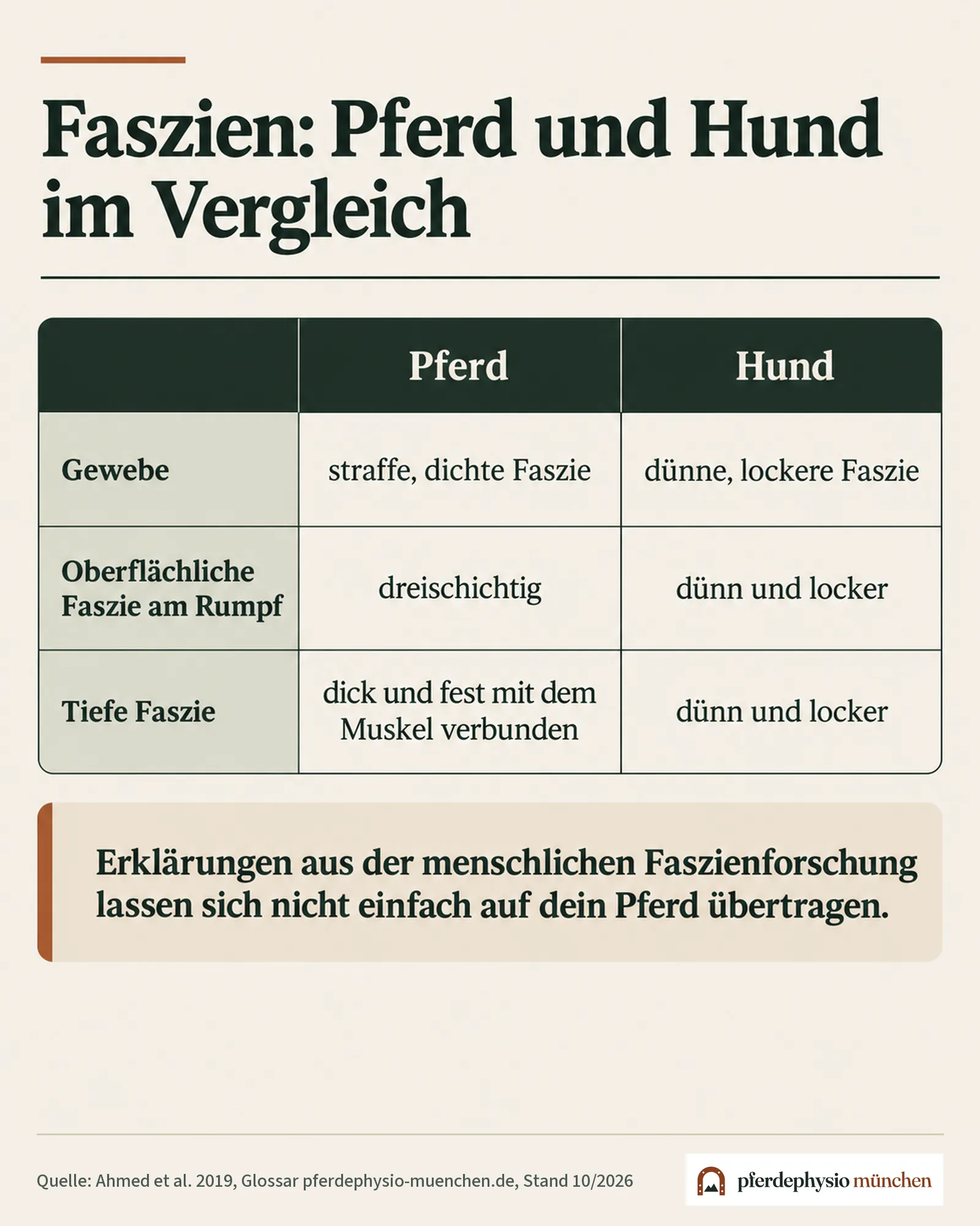 Infografik: Vergleich der Faszien von Pferd und Hund – straffe, dichte Faszie beim Pferd, dünne und lockere beim Hund