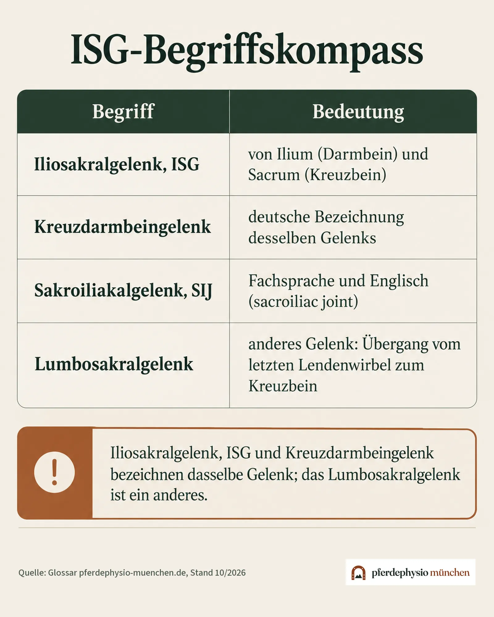 Infografik: ISG-Begriffskompass mit den Bezeichnungen Iliosakralgelenk, Kreuzdarmbeingelenk, Sakroiliakalgelenk und dem anderen Gelenk Lumbosakralgelenk