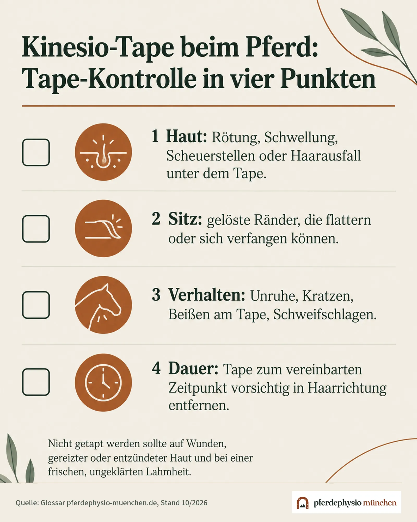 Checkliste: Tape-Kontrolle beim Pferd in vier Punkten – Haut, Sitz, Verhalten und Dauer