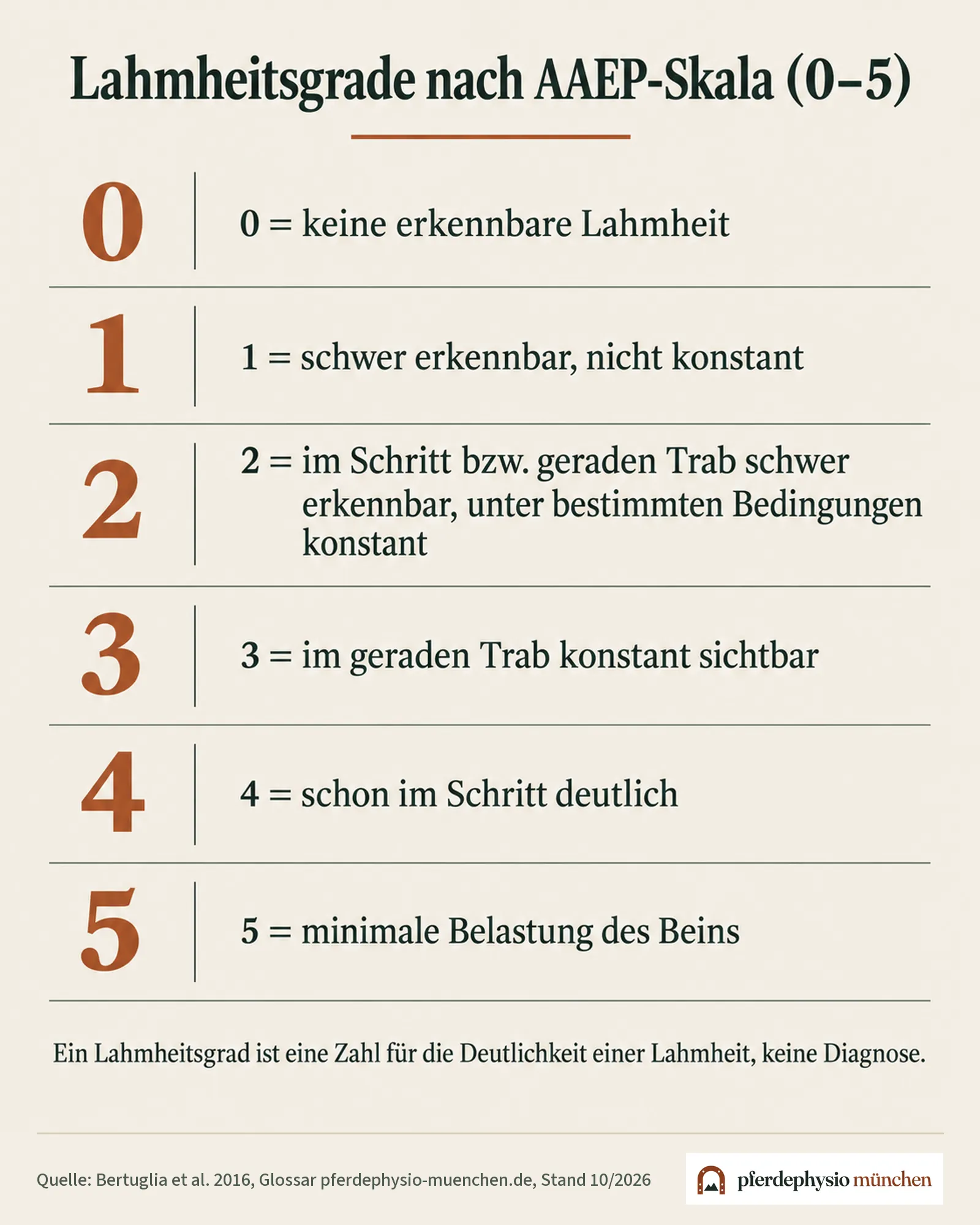 Infografik: Skala der AAEP-Lahmheitsgrade von 0 (keine erkennbare Lahmheit) bis 5 (minimale Belastung des Beins)