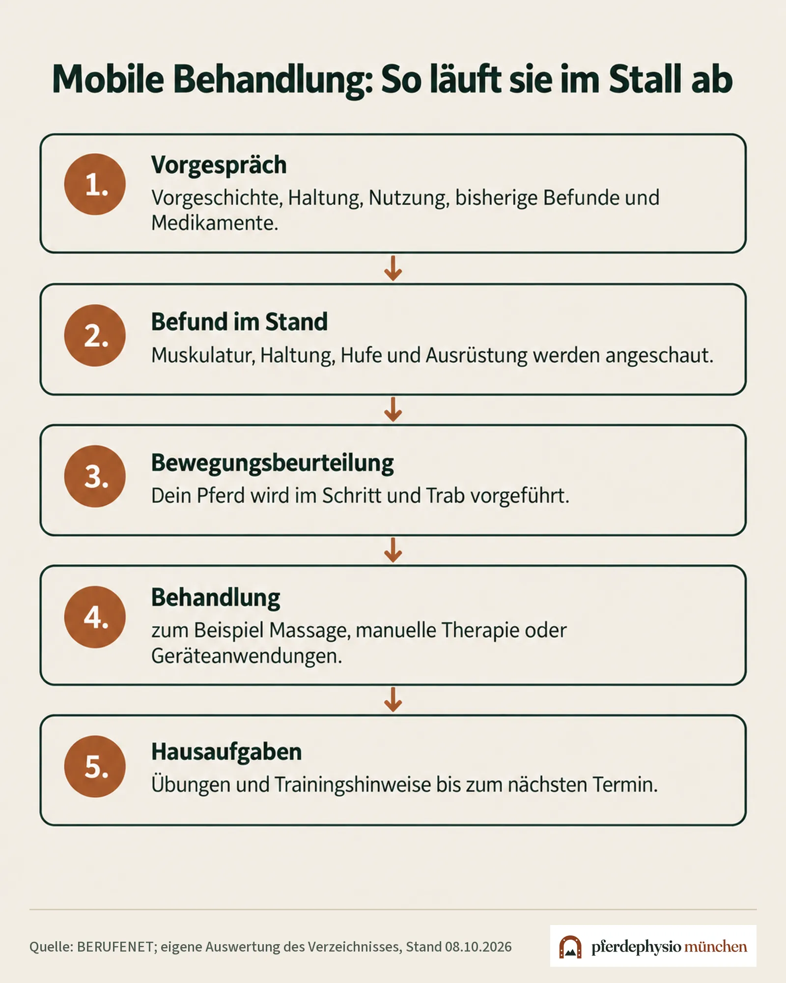 Ablauf einer mobilen Behandlung im Stall in fünf Schritten