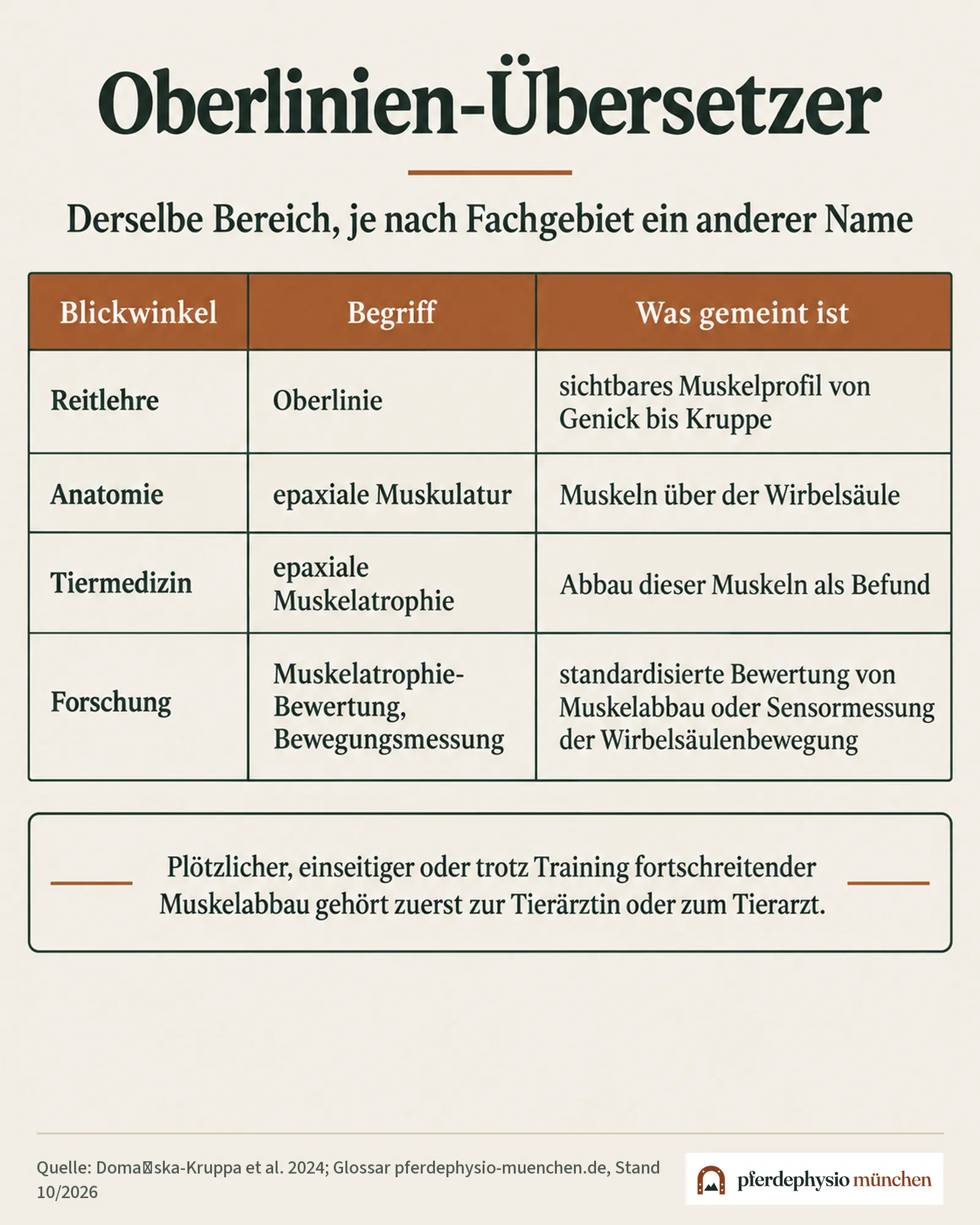 Oberlinien-Übersetzer: Begriffe aus Reitlehre, Anatomie, Tiermedizin und Forschung