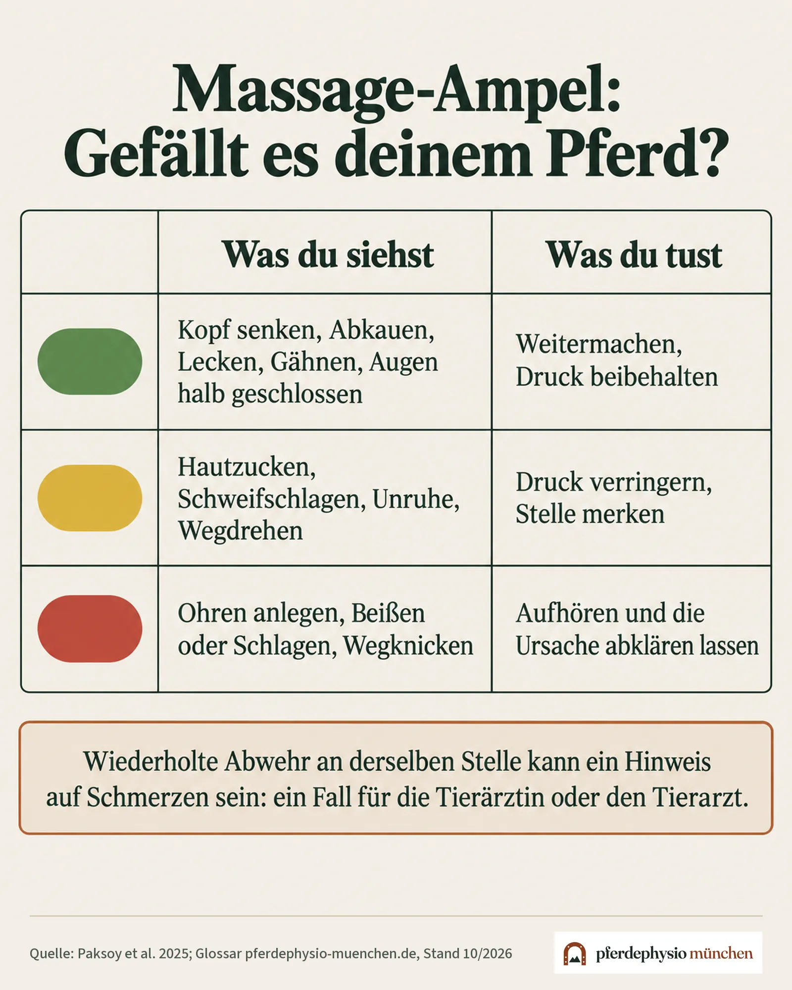 Massage-Ampel: Entspannungs-, Warn- und Stoppsignale beim Pferd und was du jeweils tust