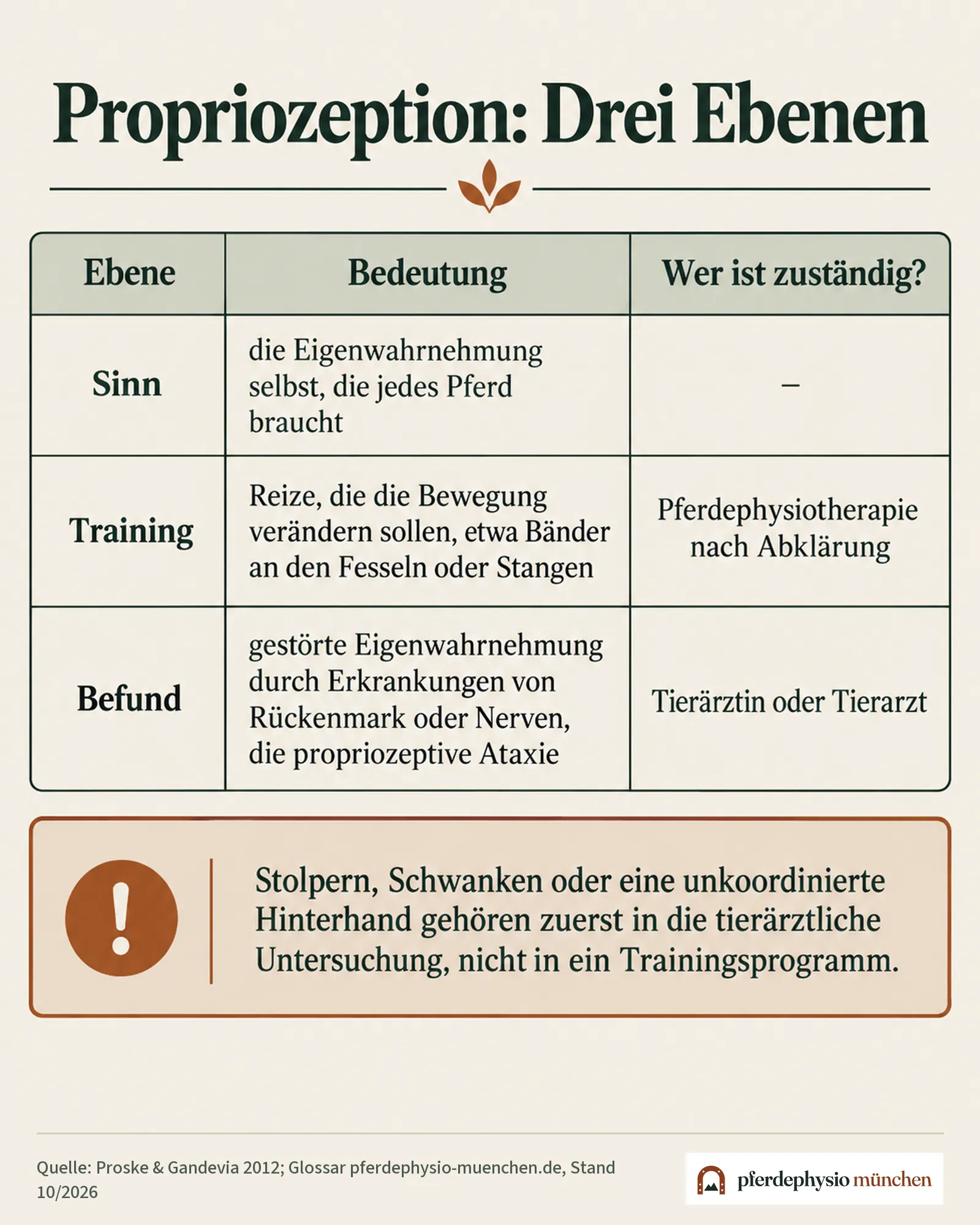 Propriozeption auf drei Ebenen: Sinn, Training und Befund