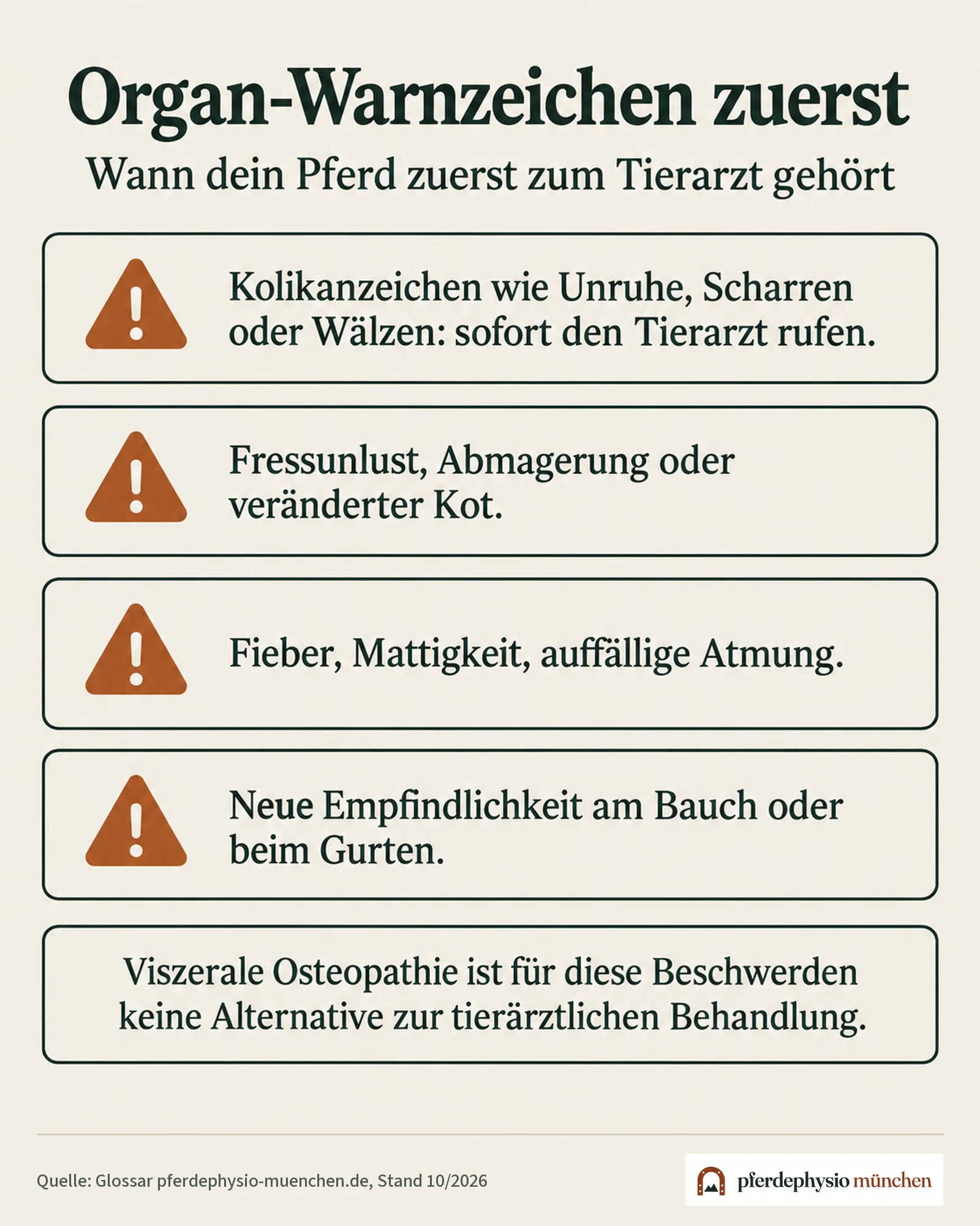 Organ-Warnzeichen, bei denen dein Pferd zuerst zum Tierarzt gehört