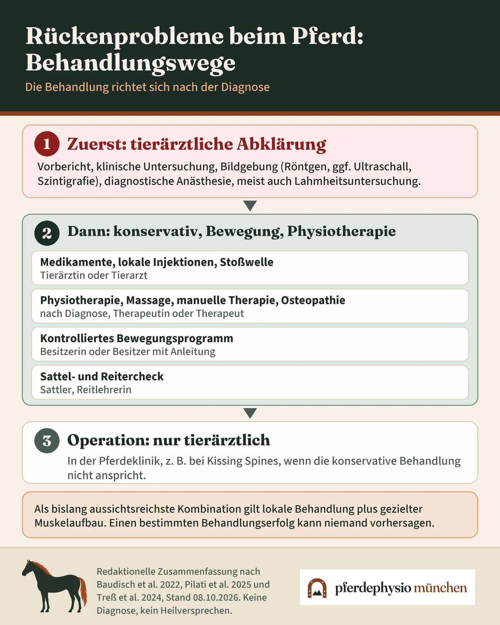 Infografik: Behandlungswege bei Rückenproblemen. Zuerst die tierärztliche Abklärung, dann konservative Maßnahmen, Bewegungsprogramm und Physiotherapie nach Diagnose, eine Operation nur tierärztlich in der Pferdeklinik.