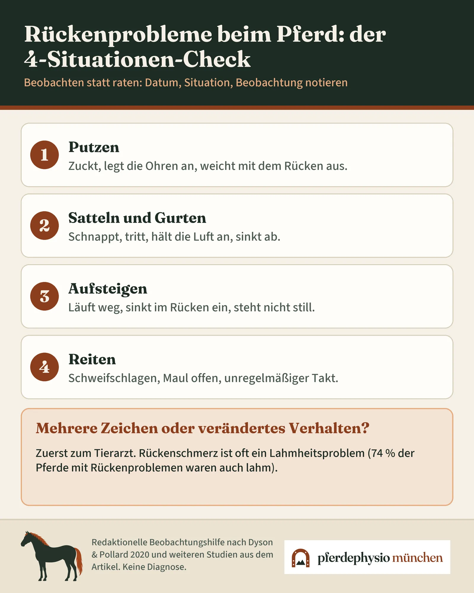Infografik: Der 4-Situationen-Check zeigt, worauf Pferdebesitzer beim Putzen, Satteln, Aufsteigen und Reiten achten können